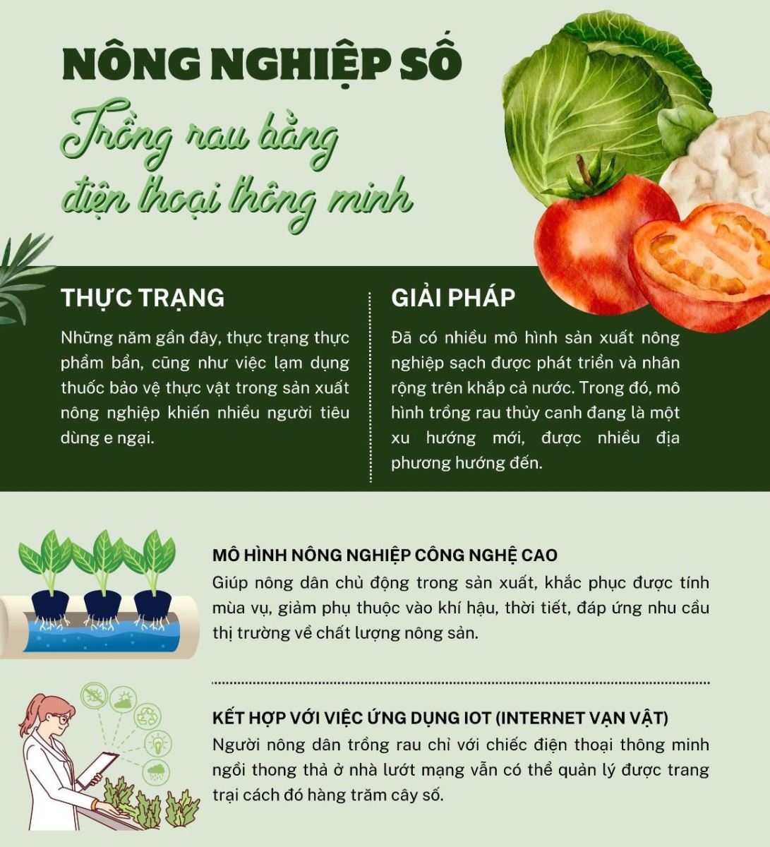 Nông nghiệp số: Trồng rau bằng điện thoại thông minh